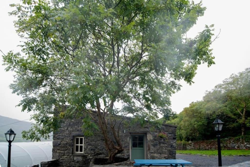 Fermoyle Properties Glynn'S Cottage Fanore Eksteriør bilde